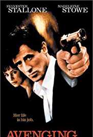 Avenging Angelo 2002 Dual Audio Hindi 480p 300MB Movies4u