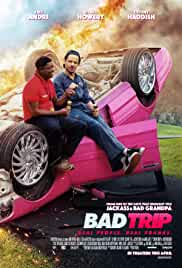 Bad Trip 2020 Hindi Dubbed 480p Movies4u
