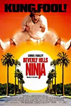 Beverly Hills Ninja 1997 Hindi Dubbed 480p 720p Movies4u