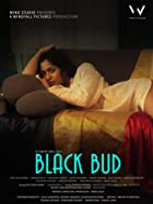 Black Bud 2021 Full Movie Download Movies4u
