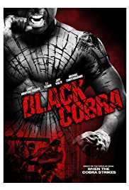 Black Cobra 2012 Dual Audio Hindi 480p 300MB Movies4u