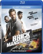 Brick Mansions 2014 Dual Audio Hindi 480p Movies4u