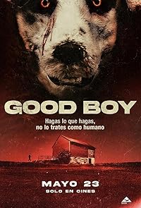 Good Boy 2022 Hindi Dubbed Norwegian Movie Download 480p 720p 1080p Movies4u