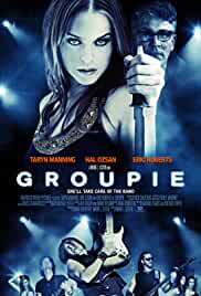Groupie 2010 Hindi Dubbed 480p Movies4u