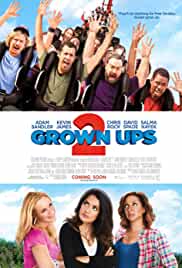 Grown Ups 2 2013 Hindi Dubbed 480p Movies4u