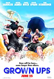 Grown Ups 2010 Dual Audio Hindi 480p Movies4u