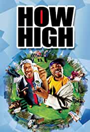 How High 2001 Dual Audio Hindi 480p Movies4u