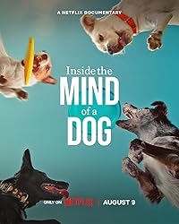 Inside the Mind of a Dog Hindi Dubbed English Movie Download 480p 720p 1080p Movies4u