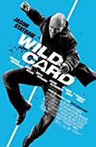 Wild Card 2015 Hindi Dubbed 480p 720p Movies4u